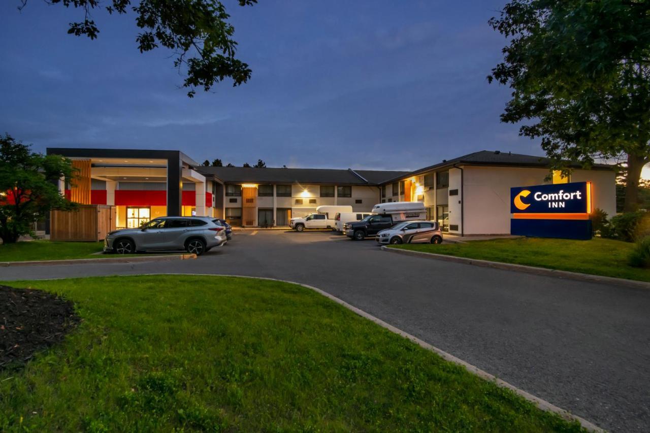 Comfort Inn West Ottawa Exteriör bild