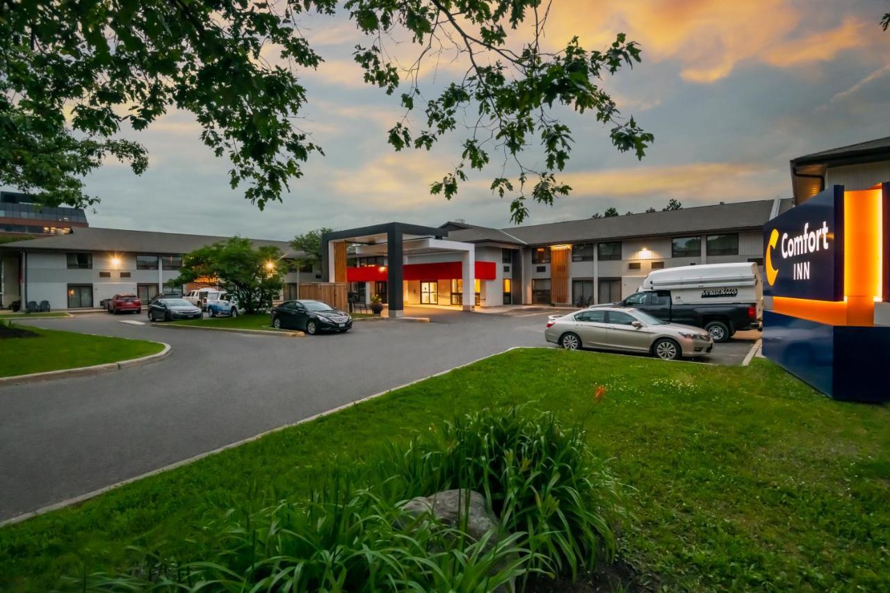 Comfort Inn West Ottawa Exteriör bild